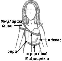 slingezee parts